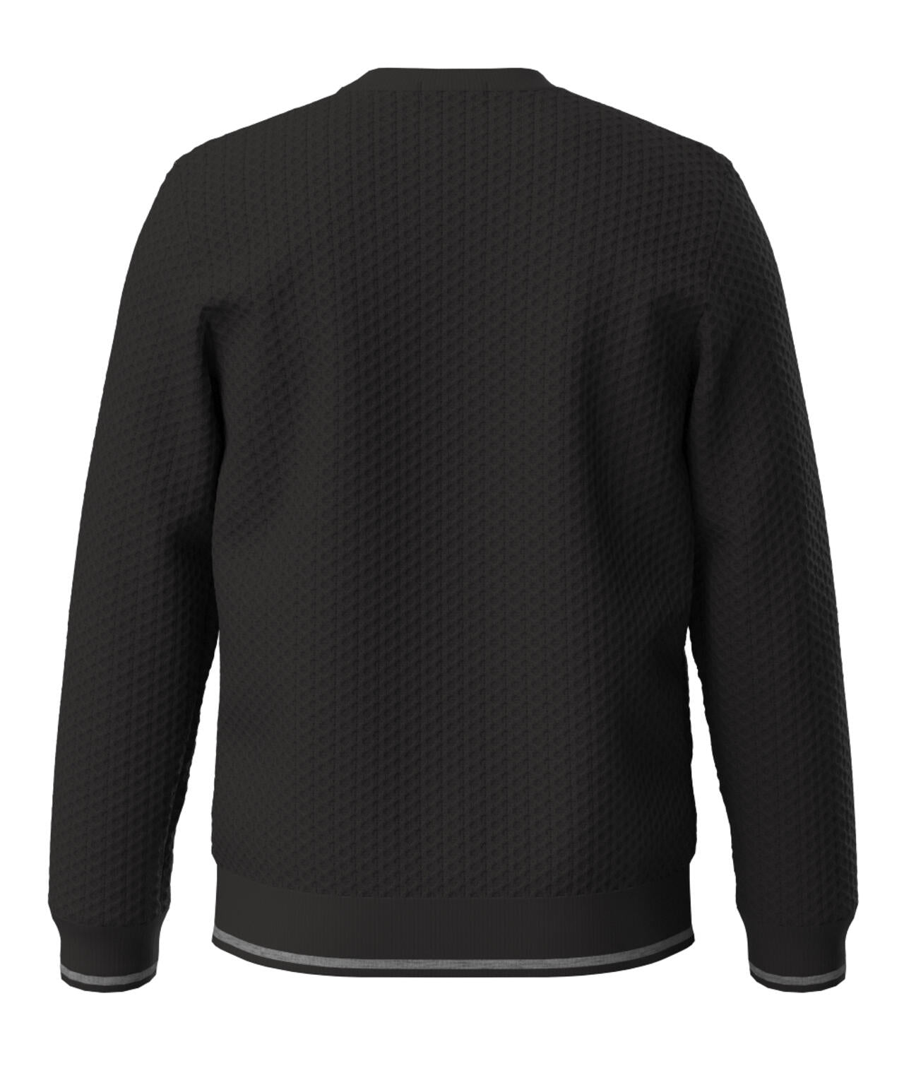 【PING APPAREL】ハチノス編みクルーネックニットプルオーバー ＜PERFORMANCE＞ (MENS)