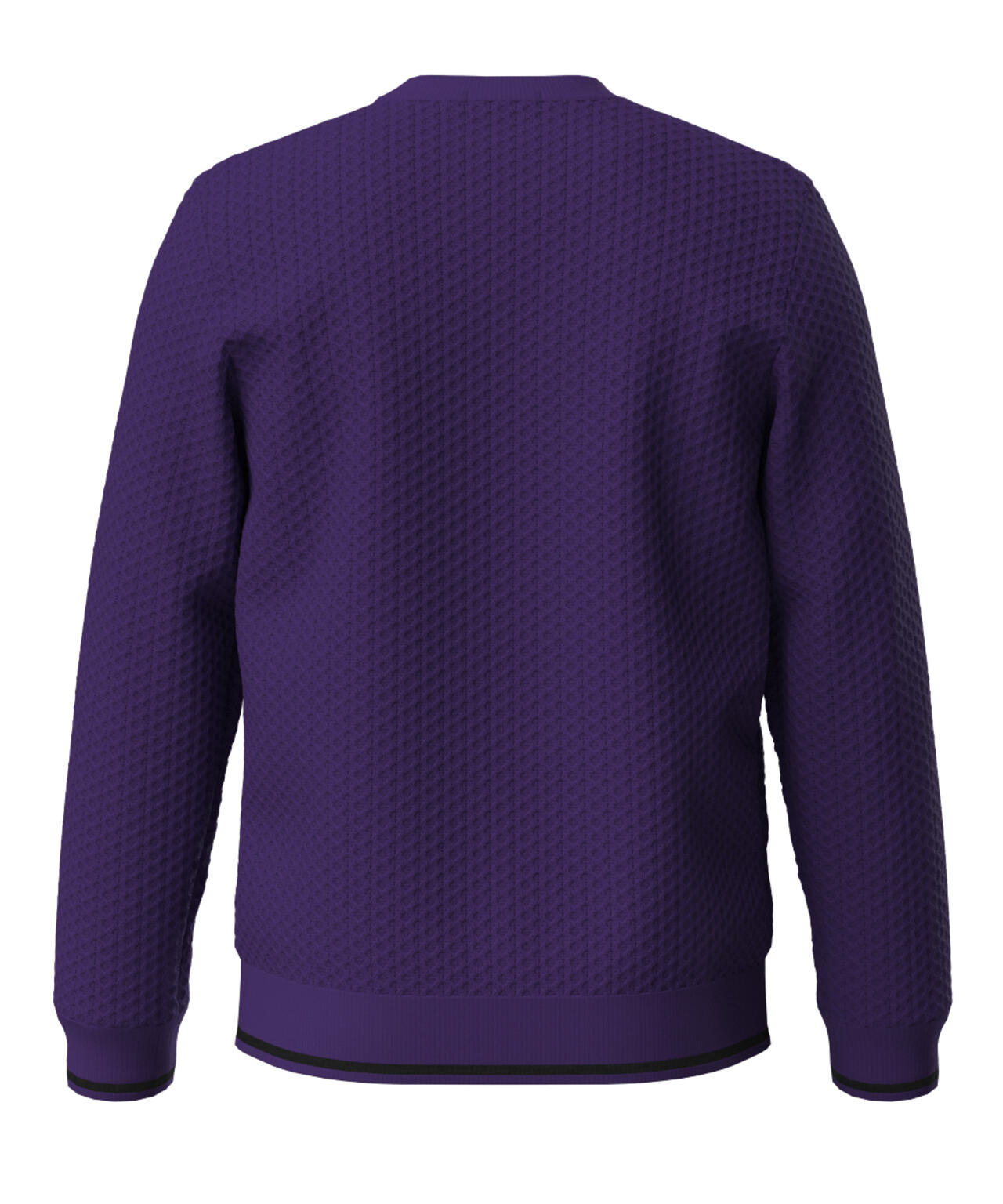 【PING APPAREL】ハチノス編みクルーネックニットプルオーバー ＜PERFORMANCE＞ (MENS)