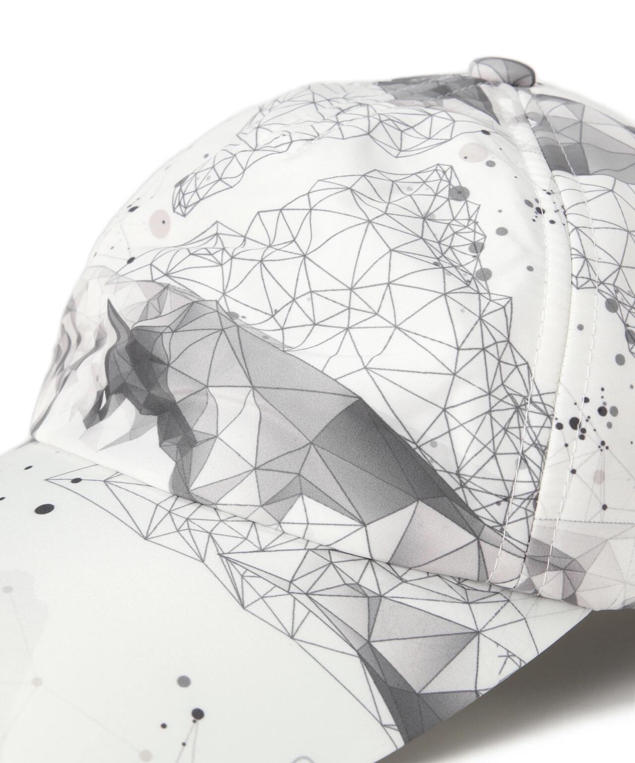 【PING APPAREL】MOUNTAIN総柄プリント薄中綿キャップ ＜PERFORMANCE＞ (UNISEX)