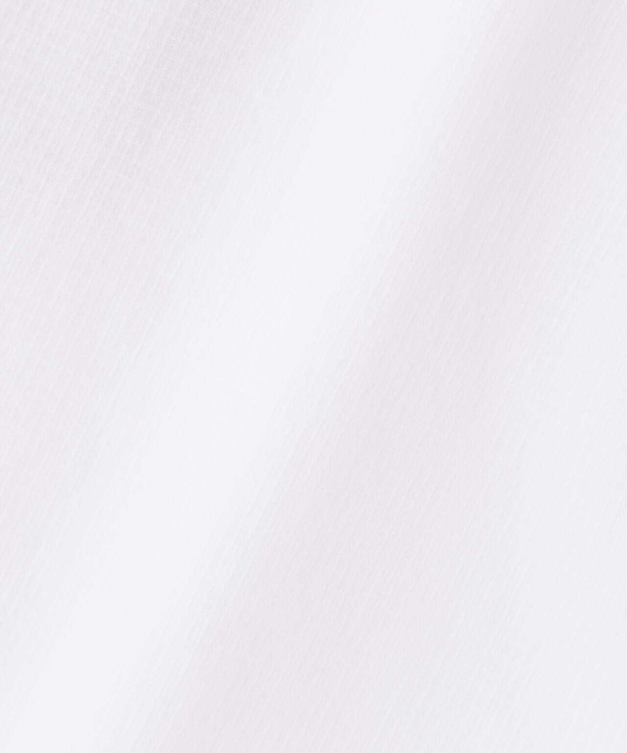 c9bf842b-cd93-57a5-8d61-98dc69392813_Image