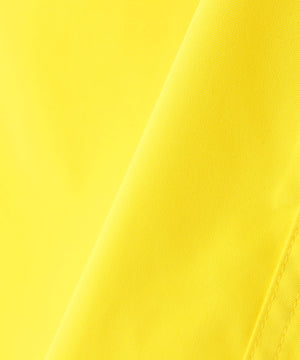 038cd69c-e434-55ad-9f77-3bca84d1bd1a_Image