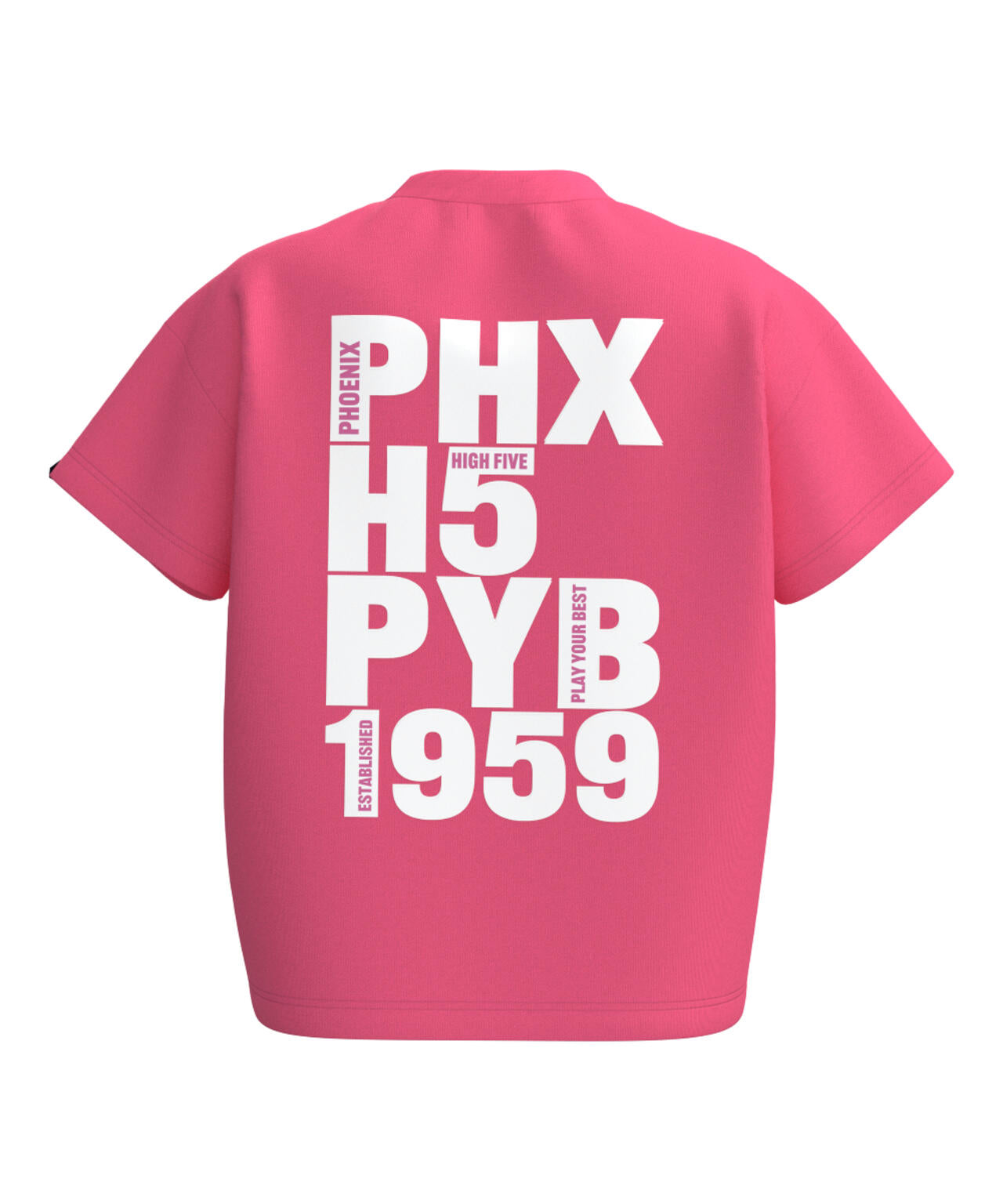 【PING APPAREL】TC天竺 半袖Ｔシャツ ＜LADIES LINE＞＜NATIVE＞ (LADIES)
