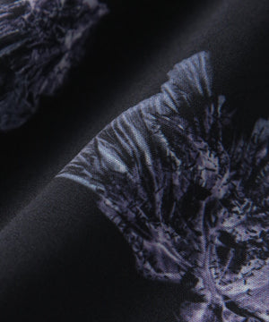 cea10400-7efe-53f2-9734-f0830f13cb57_Image