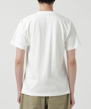 91e90b83-9cf5-575f-b0a8-455ecc2c7376_Image