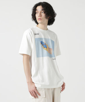 8378bfcd-0583-5422-bc6d-e64384a86cc9_Image