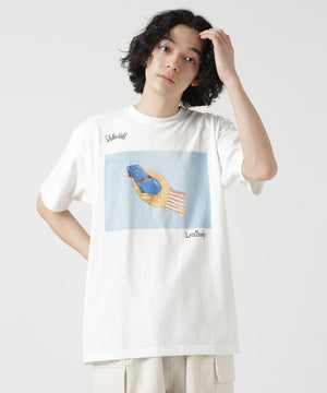 5fc71c15-2ca0-5622-9648-ca8b1ebe3491_Image