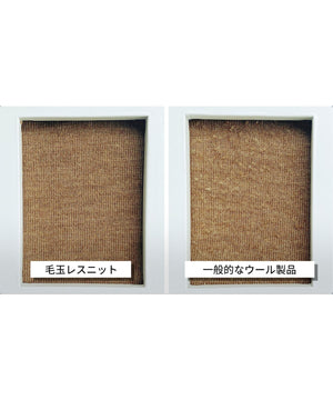 3d132599-90ab-5b36-b1d9-b556156d7b0e_Image