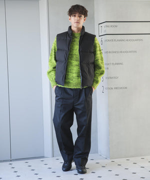 d15499ec-0c12-5e21-b9ca-4816ee41c18a_Image