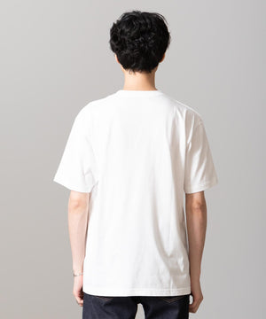 96ec0533-d082-5ea8-98e6-c418c5bbabde_Image