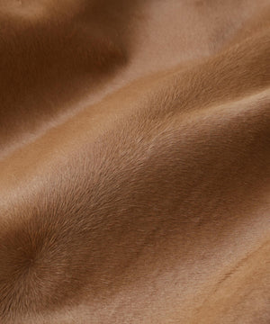 7d83dfe9-ac92-5d07-b45e-849565e19f61_Image