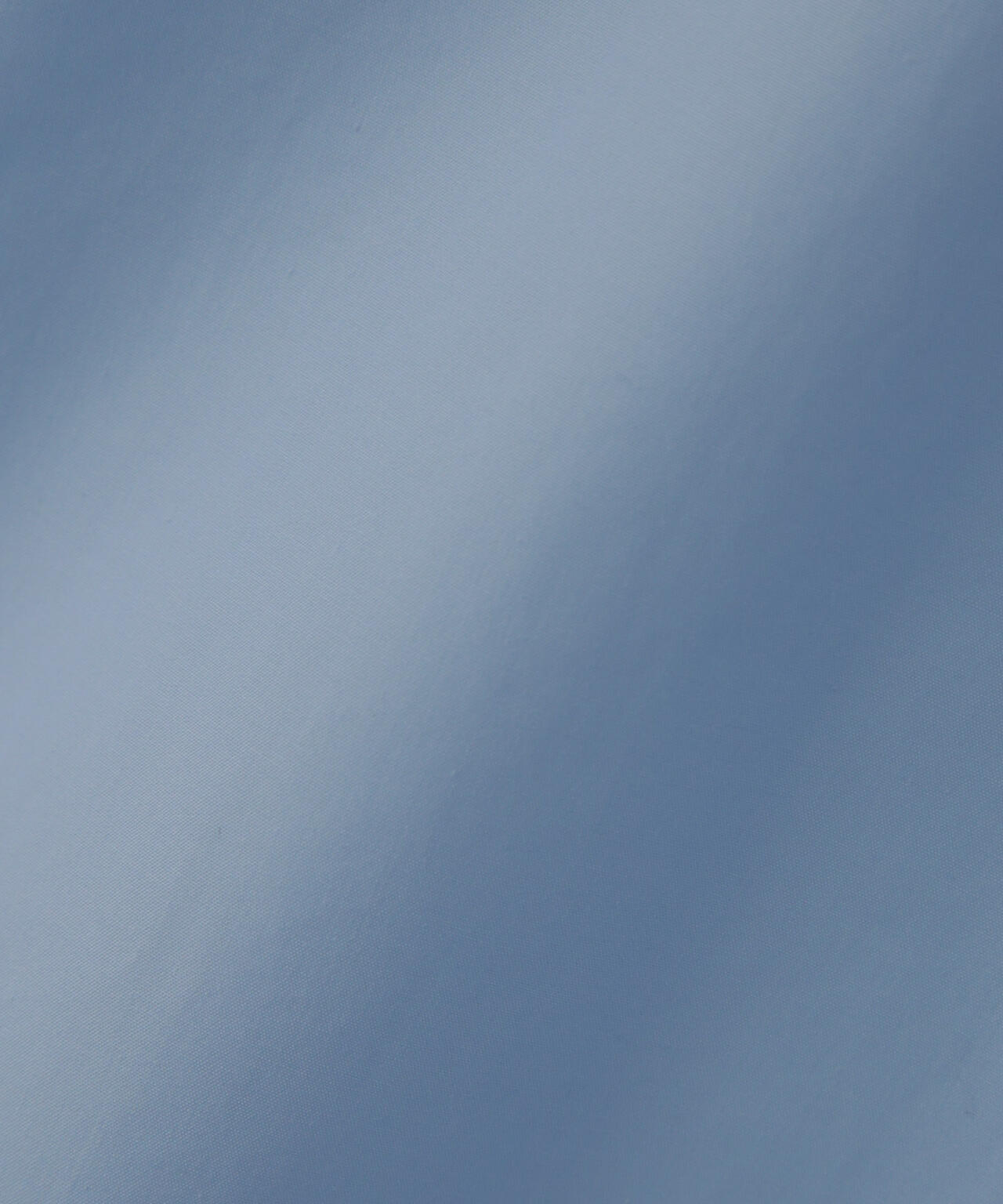 920ea158-39f5-5961-b862-a92988f3f5d2_Image