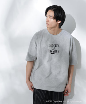 1ca0aa57-e830-545e-a133-7917ee71d246_Image