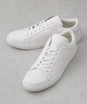 243cc958-8957-582b-84a7-e13919c183c0_Image