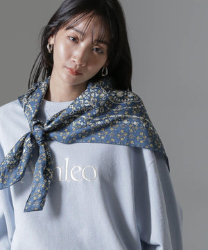 9010e079-c10d-55a5-95e3-e33ccdbec0f6_Image