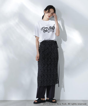 dfc640a7-da0c-566c-b7ca-b04ac2b7e381_Image