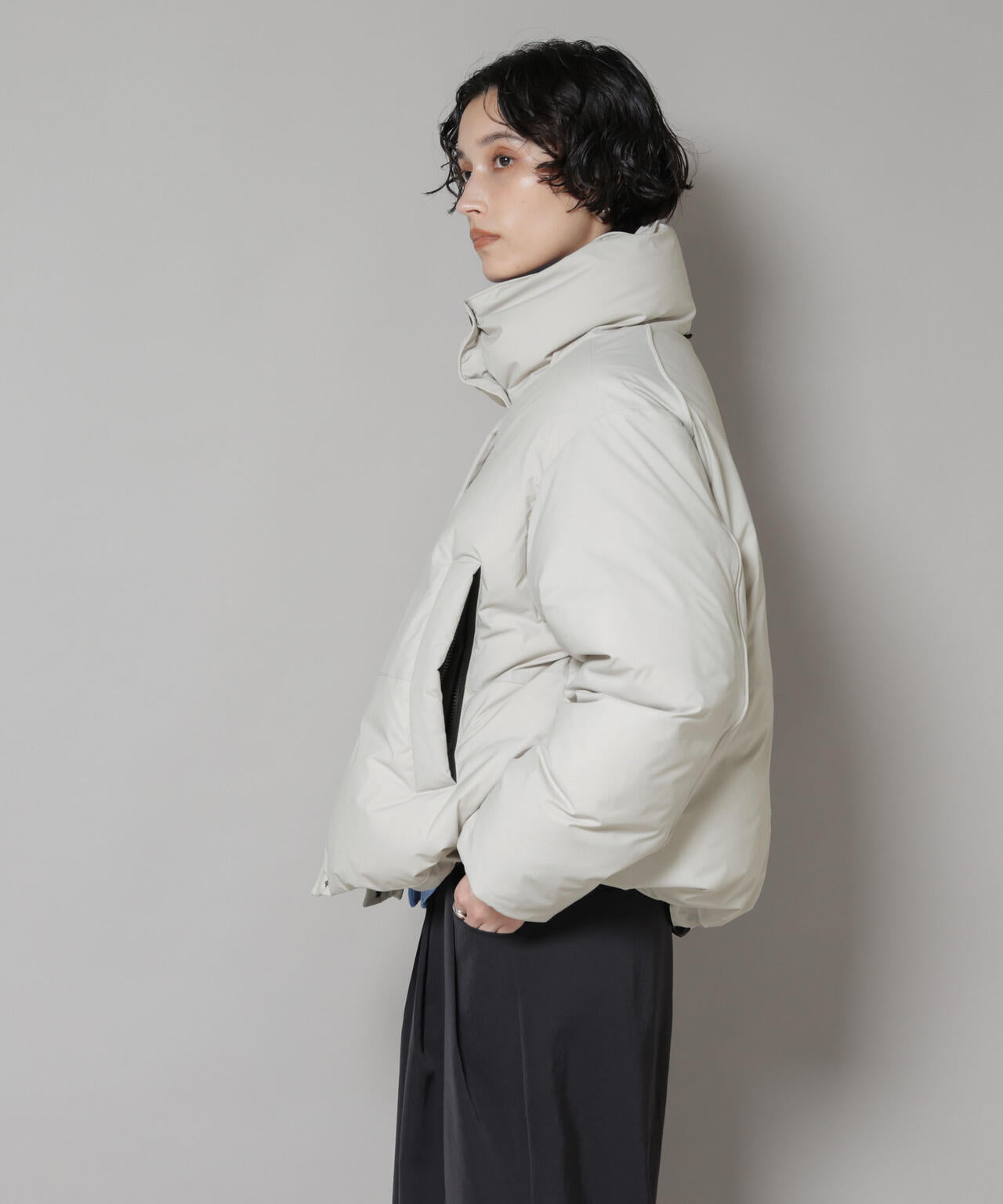 ナノユニバース　ダウン 西川ダウン(R)」ソロテックスショートダウン | NANO universe