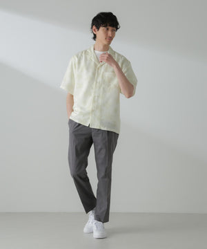 e809676a-300c-5f81-bec3-cd884618275d_Image