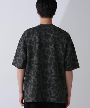 6673f435-8d04-5fe7-8342-a2abc2754877_Image