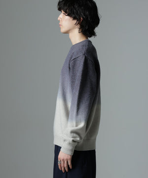 42e85abb-b14f-52f5-a84e-fe3a89701620_Image