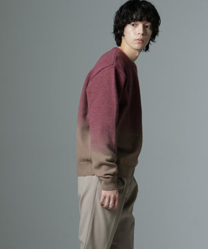 d2841b69-84ea-50f5-83fd-19bbea92339b_Image