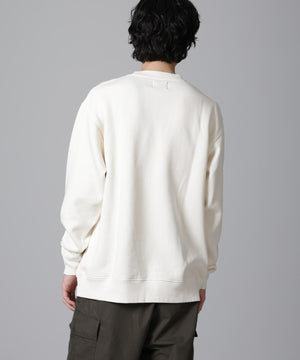 33a873d0-a101-5186-ba08-ef8c9d2acd37_Image