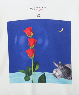 73311d03-29c8-56d2-873d-90c35eb804d0_Image