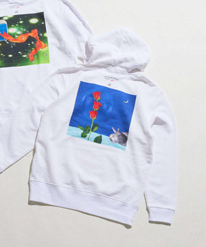 d06a1035-3fcb-5829-ba51-aabe38294237_Image