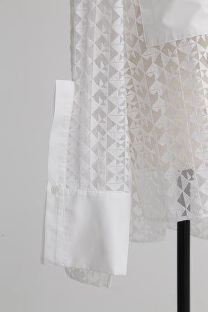 ec0fd519-b936-5ef5-8ada-66f5ee62b6d7_Image