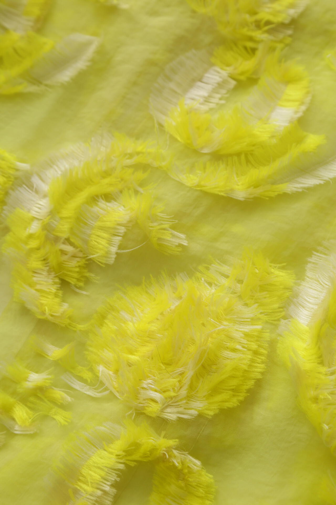 7fe308b8-4f80-5418-82e6-0919028c46bc_Image