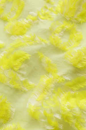 f6fc56b2-7c2e-5f25-8959-49433e189e36_Image