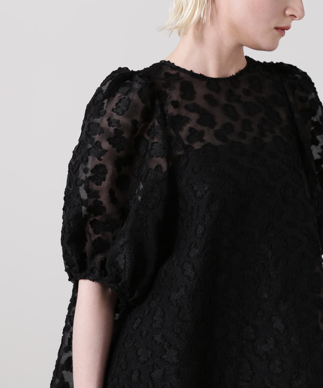 73a2dc94-6813-5791-ab55-951b10daec4b_Image