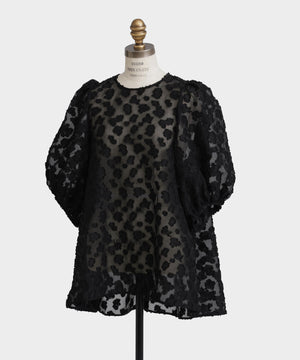 79da1ff0-7485-5c9c-bfe4-41aa7854e090_Image