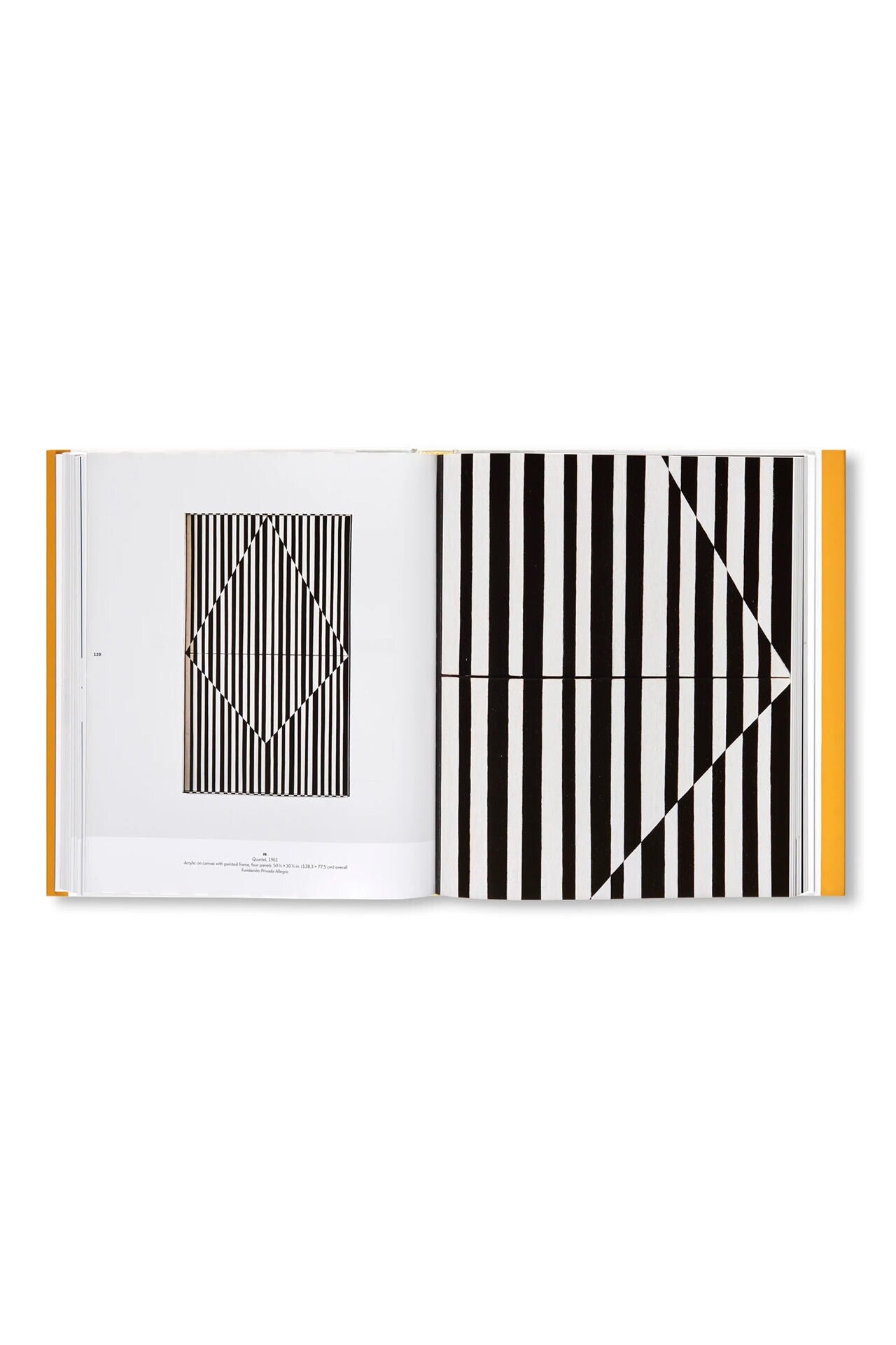 LINES OF SIGHT by Carmen Herrera