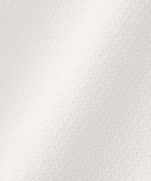 877aa274-c7dc-5dd7-bfed-d4c630c33030_Image