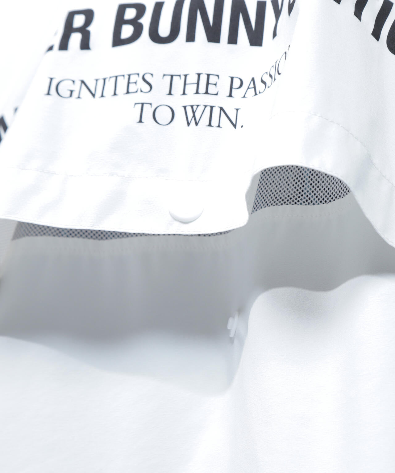 7ad91251-9be7-5126-8560-12cb22e57de6_Image