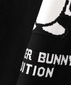 69a5bcdd-bcf6-577e-9eb1-e7a420458448_Image