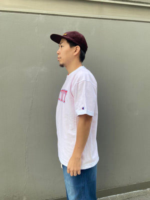 99233145-ae34-555f-b571-c23f0e39a86b_Image