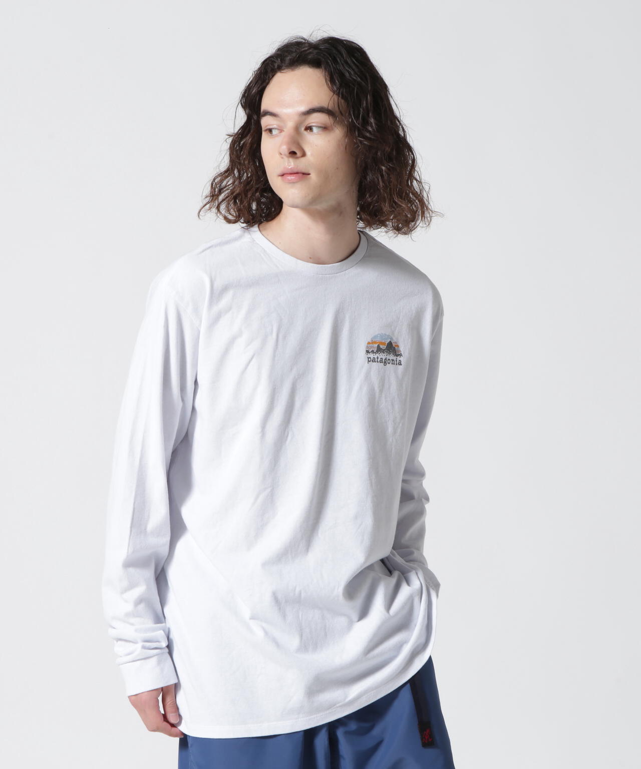 Patagonia/パタゴニア　ロングスリーブ・ステンシル・レスポンシビリティー