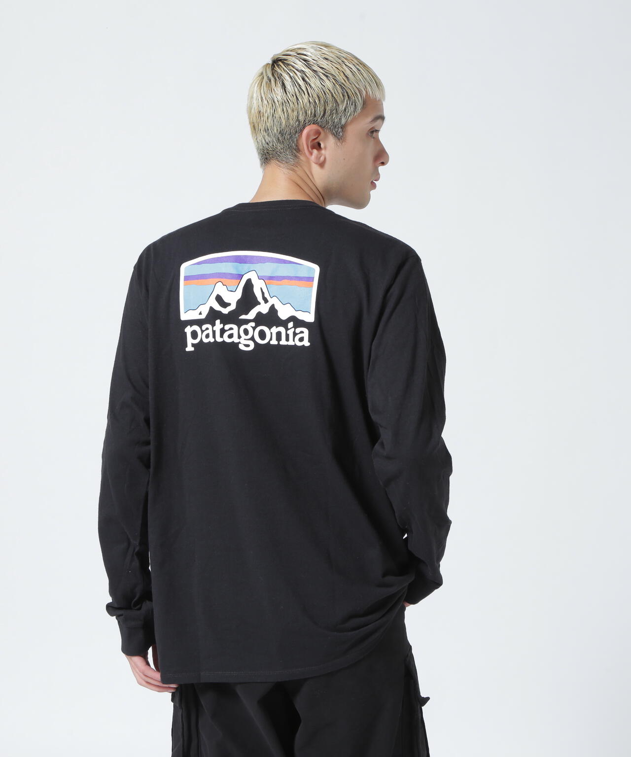Patagonia/パタゴニア　メンズ・ロングスリーブフィッツロイホライゾンズレスポンシビリティー