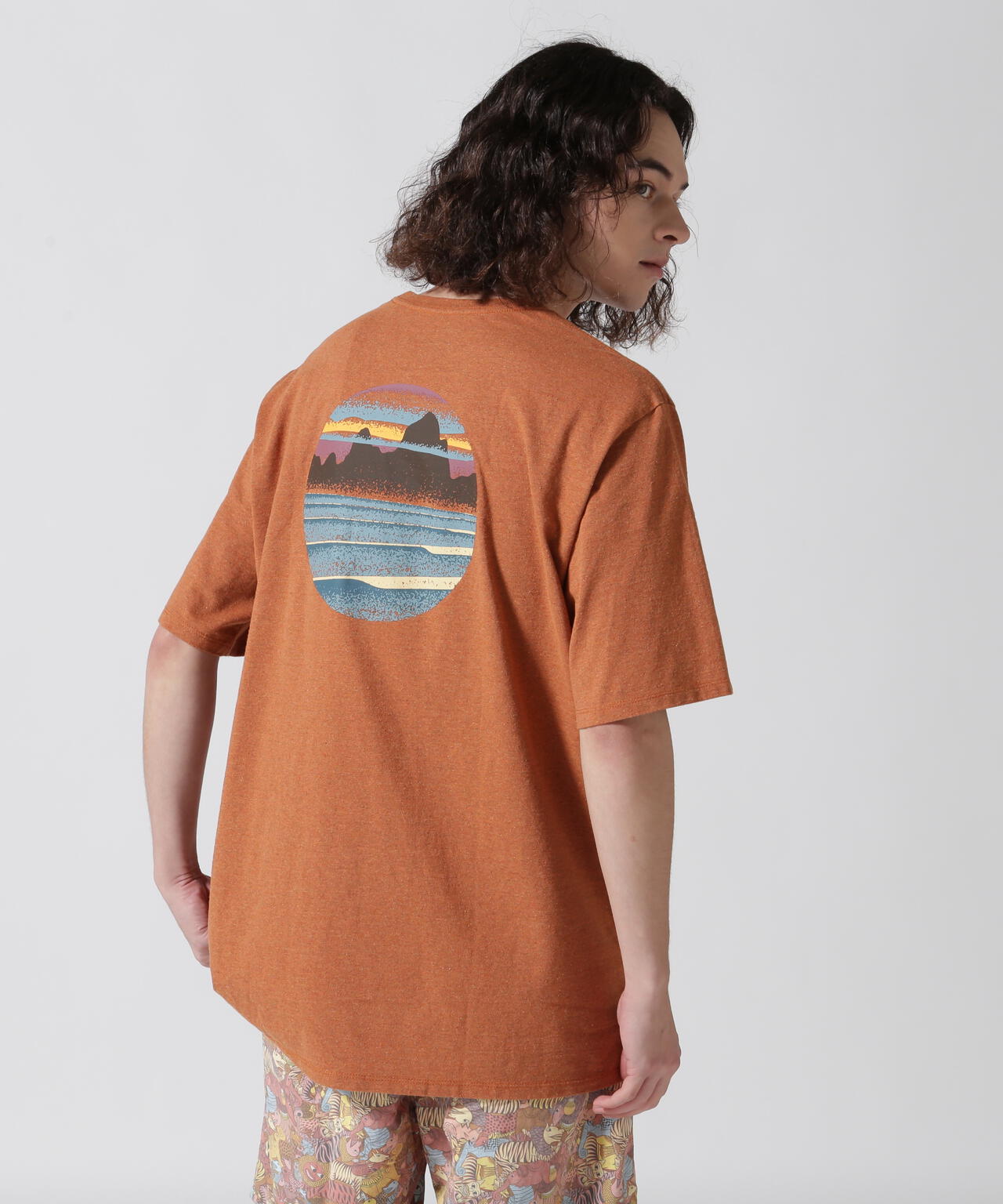 Patagonia/パタゴニア メンズ・スカイライン・ステンシル・レスポン