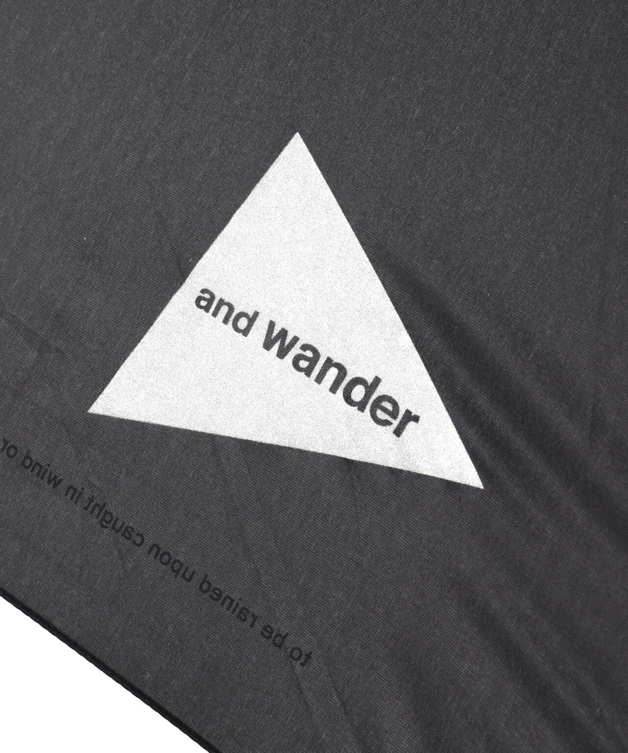 ff39cc64-609c-5682-b5cc-18bc777b832a_Image