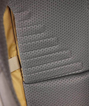 07a3f181-0a46-553a-a667-d6642c98b01e_Image