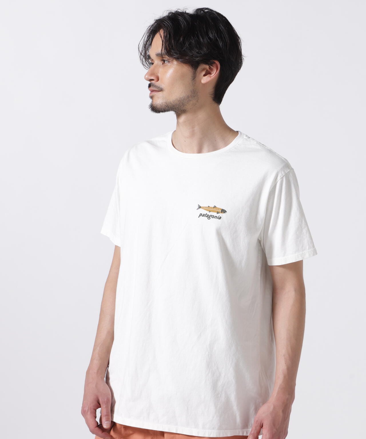 patagonia パタゴニア tシャツ ベネフィシャル ベージュ Lサイズ 中古・古着通販】Patagonia (パタゴニア) Tシャツ ベージュ