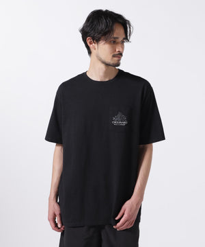 53bafca1-f286-5bd1-acb2-6a326c68caf5_Image