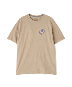 77eaeaf9-751c-519c-92a4-24d713a06183_Image