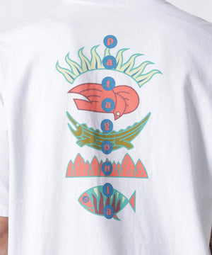 59dab7aa-7147-5310-9c3d-ba25688b70f6_Image