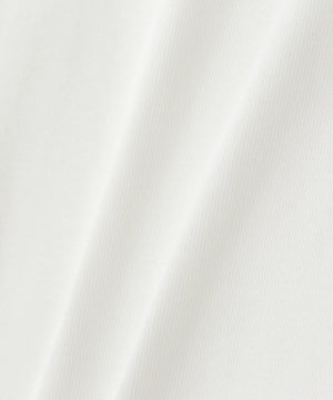 827b0bc5-7dde-5a68-9528-2f4b988a5ac2_Image