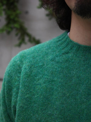 e37cb030-fea8-57d2-8dca-529ec022ab43_Image