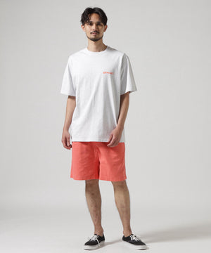 30046e76-5fc7-581b-a3cd-bf2f78ab95e4_Image