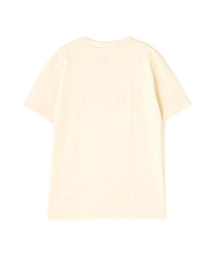 04c09d69-933e-5583-bb75-a151864a5520_Image